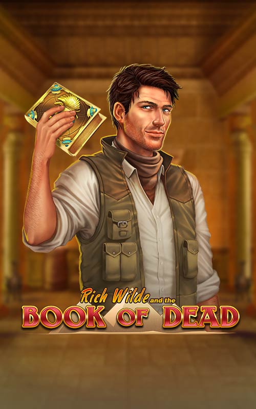 Book of Dead game from PLAYNGO